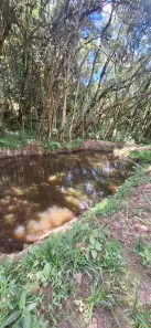 Fazenda/Sítio com 2 Quartos à venda, 24000m² no palmeirinha, Campina Grande do Sul