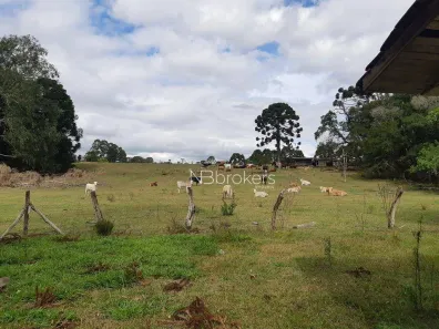 Fazenda/Sítio à venda, 43000m² no Centro, Araucária