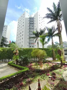 Apartamento com 2 Quartos para alugar, 55m² no Vila Vermelha, São Paulo