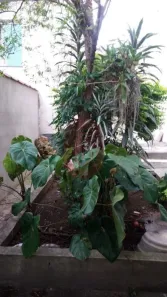 Lote/Terreno à venda, 384m² no Vila Formosa, São Paulo