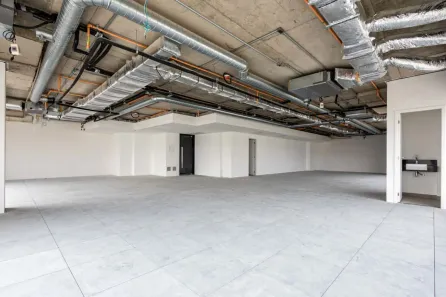Ponto Comercial para alugar, 225m² no Ponte Pequena, São Paulo