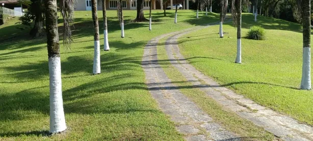 Fazenda/Sítio com 4 Quartos à venda, 10000m² no Pedra Branca, Cachoeiras de Macacu