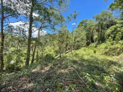 Lote/Terreno à venda, 3770m² no , Santo Antônio do Pinhal
