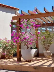 Casa com 3 Quartos à venda, 227m² no Poção, Cuiabá