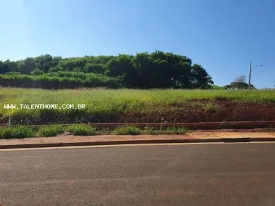 Lote/Terreno à venda, 516m² no Brasília, Londrina