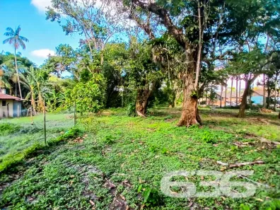Lote/Terreno à venda, 24310m² no Iperoba, São Francisco do Sul