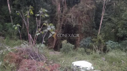 Lote/Terreno à venda, 6800m² no Vista Alegre, Vinhedo