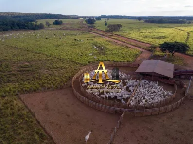 Fazenda/Sítio com 1 Quarto à venda, 1000m² no Goiatins, Goiatins