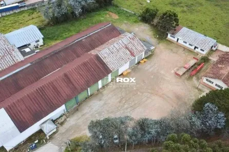 Galpão/Depósito/Armazém à venda, 4000m² no Itália, São José dos Pinhais
