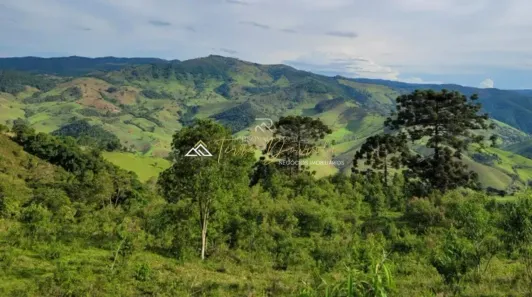 Fazenda/Sítio à venda, 726000m² no , Piranguçu