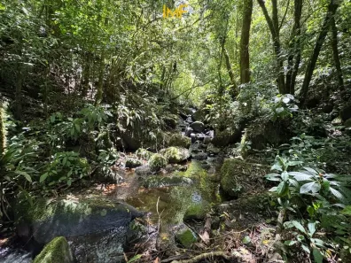 Lote/Terreno à venda, 20000m² no Santa Maria, Benedito Novo