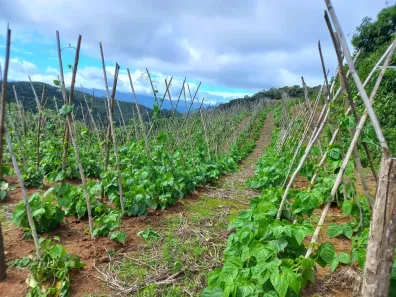 Lote/Terreno à venda, 85000m² no , Águas Mornas