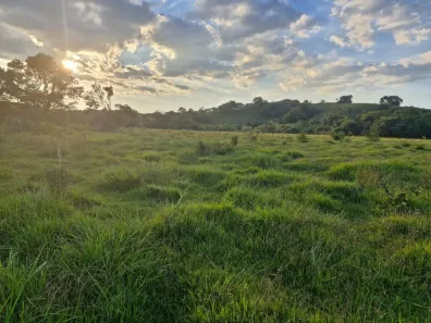 Fazenda/Sítio à venda, 81000m² no Área Rural de Pereiras, Pereiras