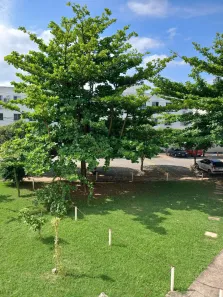 Apartamento com 2 Quartos à venda, 45m² no Parque Leopoldina, Campos dos Goytacazes