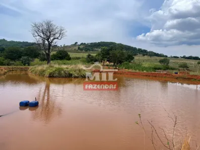 Fazenda/Sítio à venda, 1m² no Centro, Goianésia
