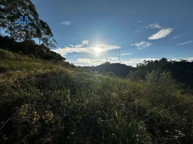 Lote/Terreno à venda, 20000m² no Centro, São Pedro de Alcântara