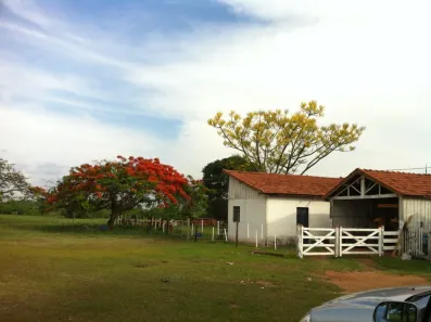 Fazenda/Sítio com 3 Quartos à venda, 120m² no Área Rural de Presidente Prudente, Presidente Prudente