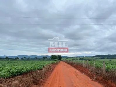 Fazenda/Sítio à venda, 392m² no , Pirenópolis