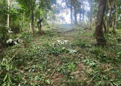 Lote/Terreno à venda, 20000m² no Caxambu, Petrópolis