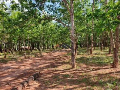Fazenda/Sítio com 2 Quartos à venda, 242000m² no Sao Francisco, São Francisco