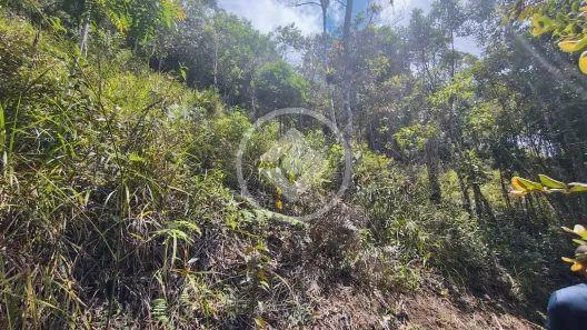 Lote/Terreno à venda, 40000m² no Vale do Paraíso, Teresópolis