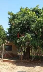 Fazenda/Sítio com 2 Quartos à venda, 70m² no Conjunto Habitacional Ana Jacinta, Presidente Prudente