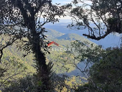Lote/Terreno à venda, 3800m² no Centro, São Francisco de Paula