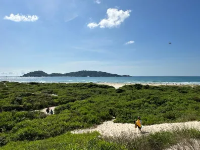 Apartamento com 1 Quarto para alugar, 35m² no Campeche, Florianópolis