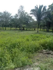 Lote/Terreno à venda, 100m² no Igaraú, São Luís