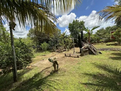 Fazenda/Sítio com 4 Quartos à venda, 180m² no Regente Feijó, Regente Feijó
