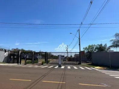 Lote/Terreno à venda, 313m² no Jardim Manoel Penna, Ribeirão Preto