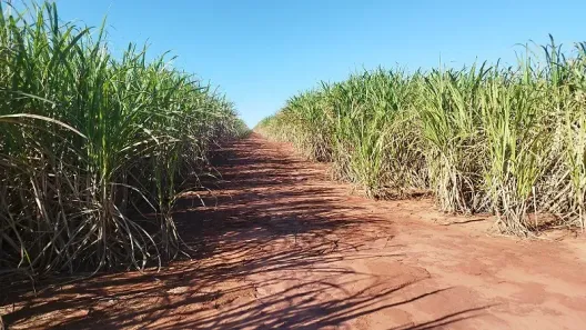 Fazenda/Sítio à venda, 217800m² no , Santa Inês