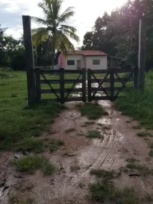 Fazenda/Sítio com 1 Quarto à venda, 520000m² no , Itiquira