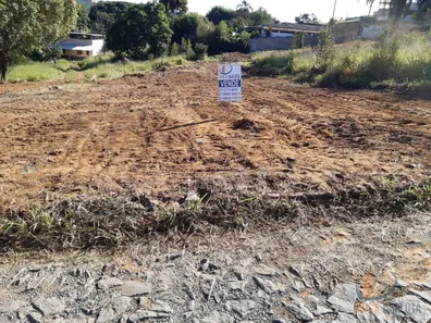 Lote/Terreno à venda, 309m² no Amaro Ribeiro, Conselheiro Lafaiete