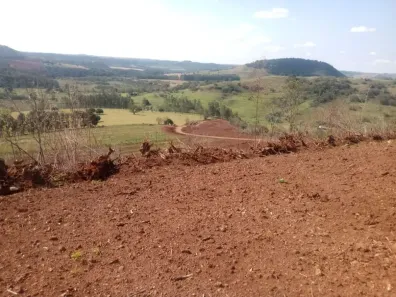 Fazenda/Sítio com 3 Quartos à venda, 205m² no , Nova Fátima