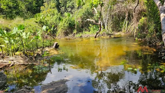 Fazenda/Sítio com 3 Quartos à venda, 20000m² no , Nísia Floresta