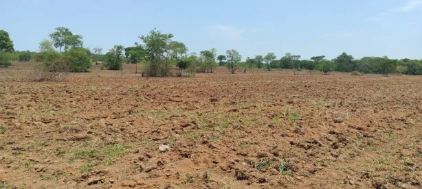 Fazenda/Sítio com 1 Quarto à venda, 1m² no Rosário Oeste, Rosário Oeste