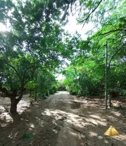 Lote/Terreno à venda, 1029m² no Nova Esperança, Cuiabá