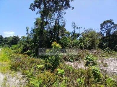 Lote/Terreno à venda, 442m² no Salinas, Balneário Barra do Sul