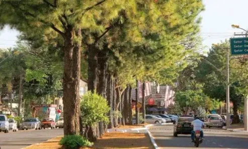 Lote/Terreno à venda, 1044m² no Setor Marista, Goiânia
