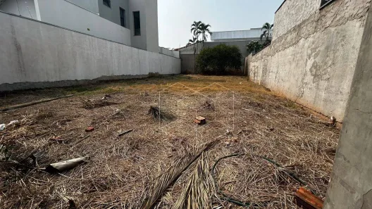 Lote/Terreno à venda, 250m² no Vila Vicente, Jaú