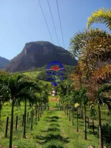 Fazenda/Sítio com 5 Quartos à venda, 500m² no Trapiche, Macaé