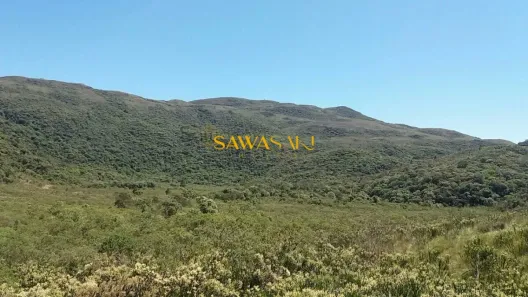 Fazenda/Sítio à venda, 2420000m² no Centro, Tijucas do Sul