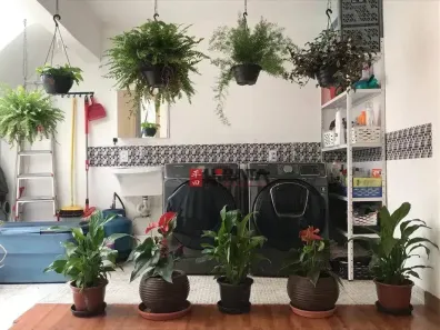 Sobrado com 3 Quartos à venda, 191m² no Brooklin Paulista, São Paulo