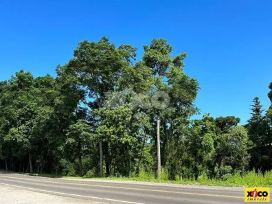 Lote/Terreno à venda, 2604m² no Nova Petrópolis, Nova Petrópolis