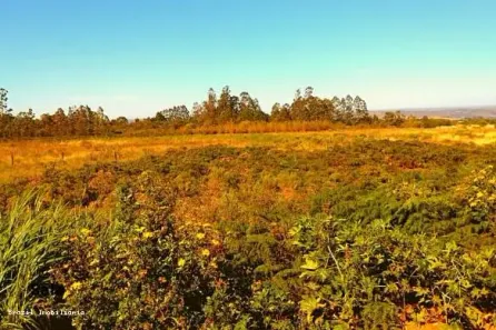 Lote/Terreno à venda, 400m² no Ponte Alta Norte, Brasília
