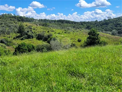 Lote/Terreno à venda, 965524m² no Centro, Santa Branca