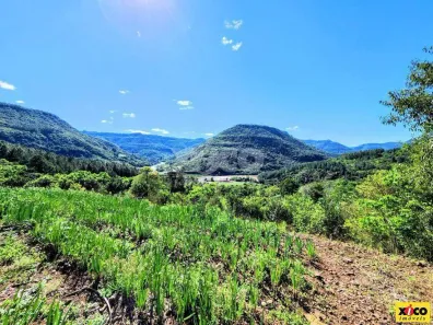 Fazenda/Sítio com 1 Quarto à venda, 5000m² no Nova Petrópolis, Nova Petrópolis