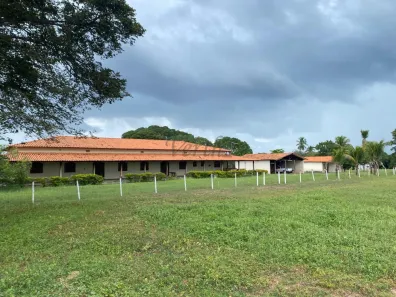Fazenda/Sítio com 5 Quartos à venda, 2500m² no Vl Jussara, Januária