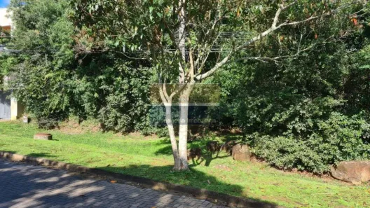 Lote/Terreno à venda, 390m² no São Lucas, Viamão